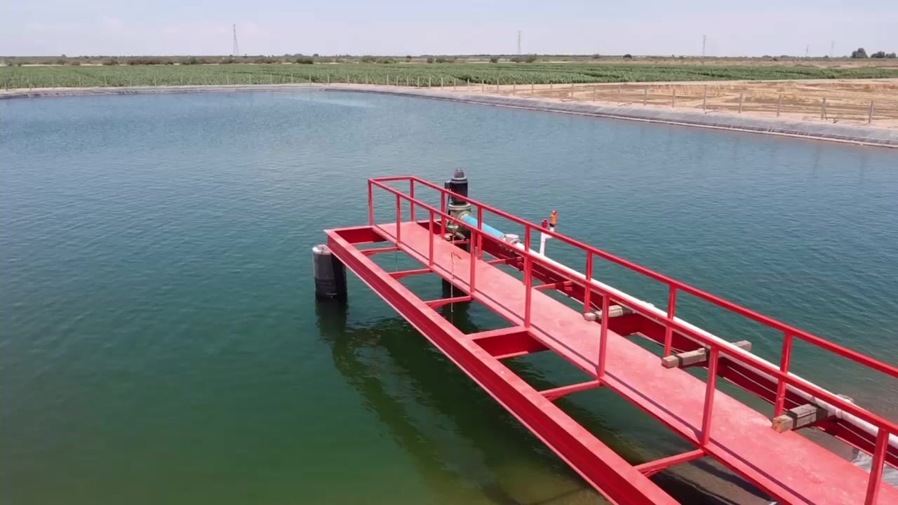 Image related to our service Rebombeo that we provide